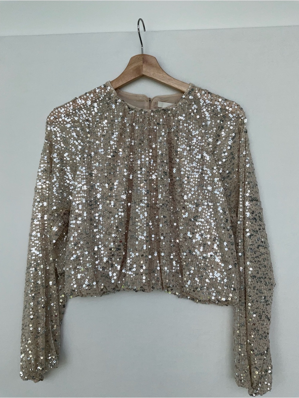H&M Sequin Long-Sleeve  Top